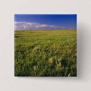 Short Grass Prairie in remote northeastern 2 Inch Square Button