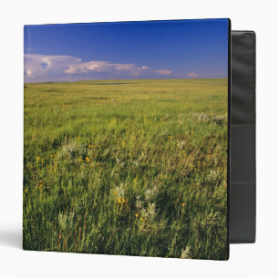 Short Grass Prairie in remote northeastern Binder