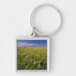 Short Grass Prairie in remote northeastern Keychain