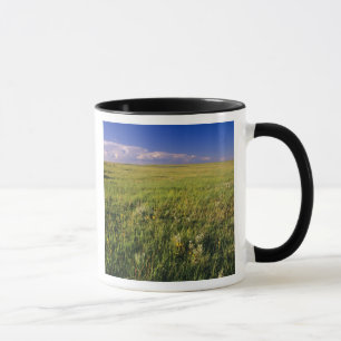 Short Grass Prairie in remote northeastern Mug