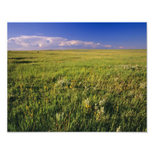 Short Grass Prairie in remote northeastern Photo Print
