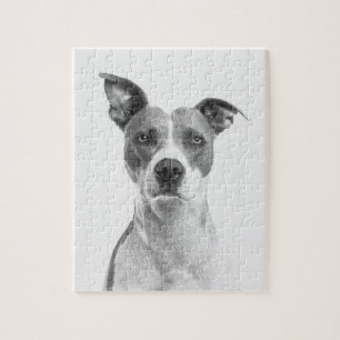 Short Hair Dog In Greyscale (Black & White) Jigsaw Puzzle
