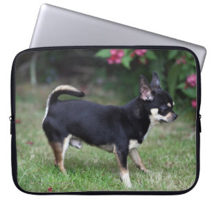 Short Haired Chihuahua Standing Laptop Sleeve