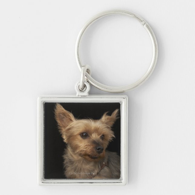 Short haired Yorkie dog looking to the right Keychain (Front)