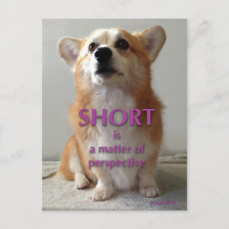Short is a Matter of Perspective Cute Corgi Card