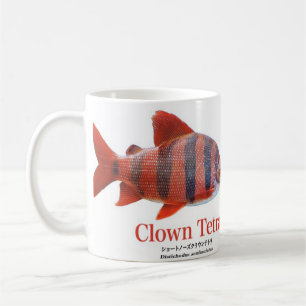 Short Nose Crown Tetra Coffee Mug