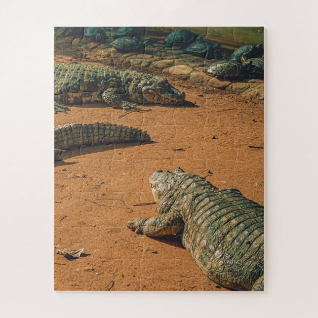 Short Nosed Crocodiles Sunbathing Near Turtles Jigsaw Puzzle (Vertical)
