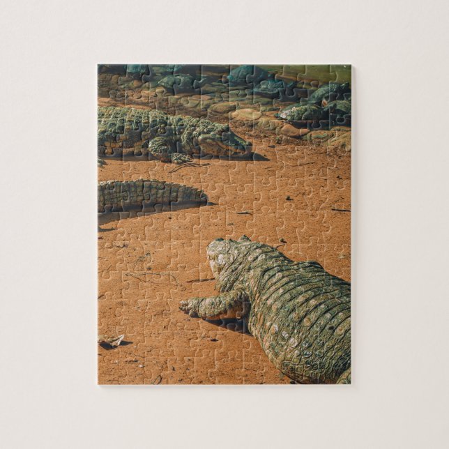 Short Nosed Crocodiles Sunbathing Near Turtles Jigsaw Puzzle (Vertical)