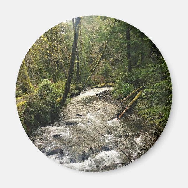 Short Sand Creek, Oswald West, Oregon Magnet (Front)