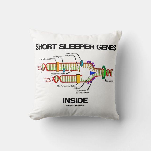 Short Sleeper Genes Inside DNA Replication Humour Throw Pillow (Front)