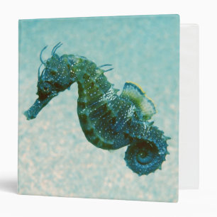 Short-Snouted Seahorse   Crimea, Russia Binder