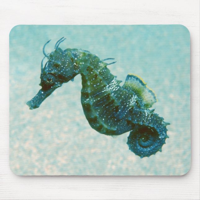 Short-Snouted Seahorse | Crimea, Russia Mouse Pad (Front)
