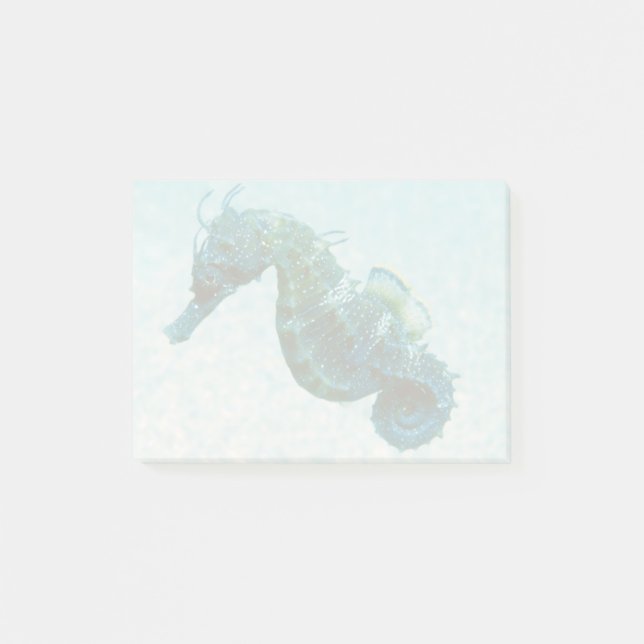 Short-Snouted Seahorse | Crimea, Russia Post-it Notes (Front)