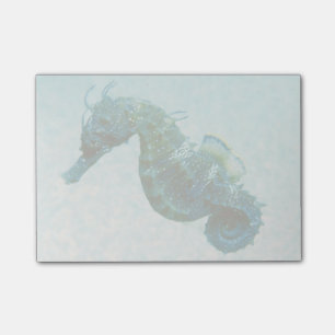 Short-Snouted Seahorse   Crimea, Russia Post-it Notes