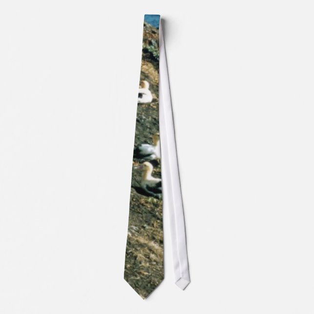 Short-tailed Albatross Tie (Front)