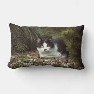 Shorthair Cat - Pillow