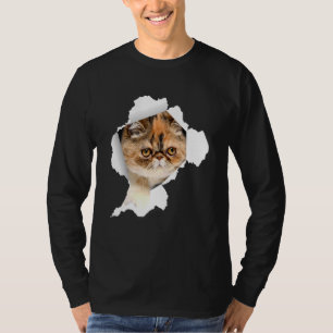 Shorthair Cats Torn Cloth Kitten 1 T-Shirt
