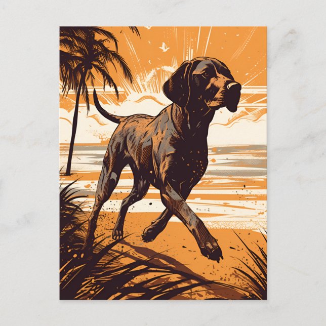 Shorthaired Pointer at a beach during sunset Postcard (Front)