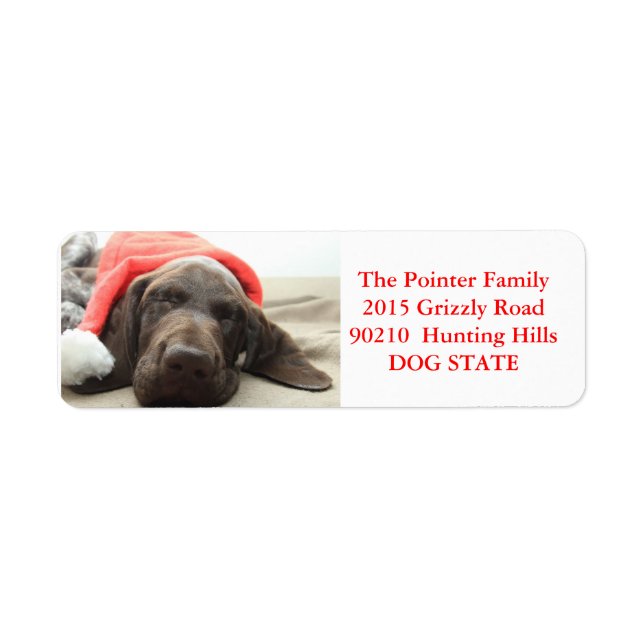 Shorthaired Pointer Holiday Address Label (Front)