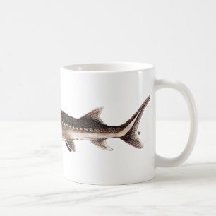Shortnose Sturgeon - Acipenser brevirostrum Coffee Mug