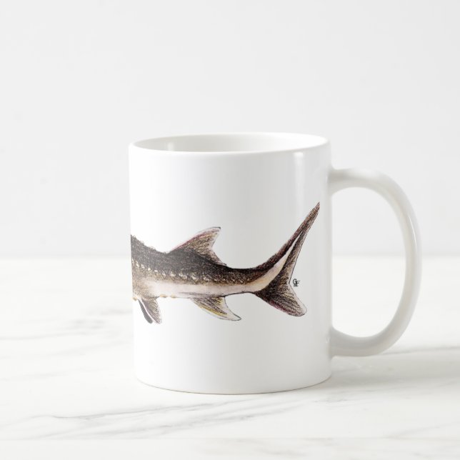 Shortnose Sturgeon - Acipenser brevirostrum Coffee Mug (Right)