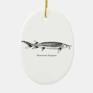 Shortnose Sturgeon Ceramic Ornament