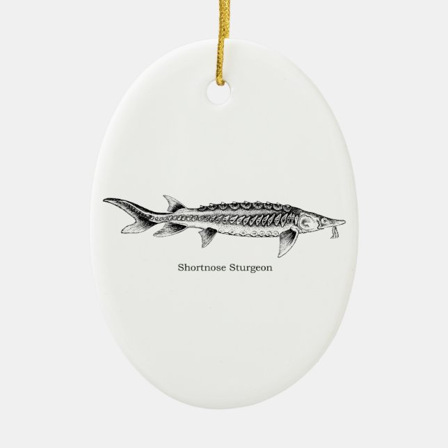 Shortnose Sturgeon Ceramic Ornament (Front)