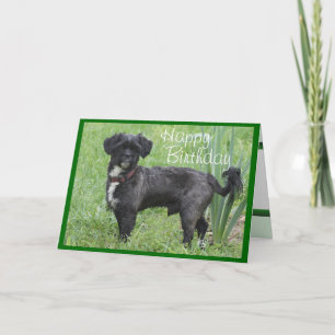 Shorty by Iris-customize any attendance Card