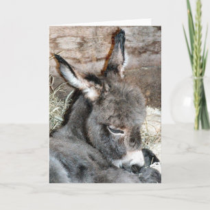 Shorty Card