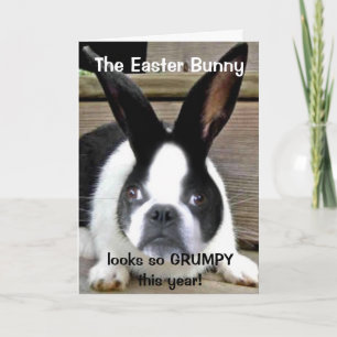 Shorty's 2011 Easter Card