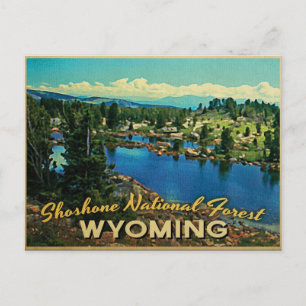Shoshone National Forest Wyoming Postcard