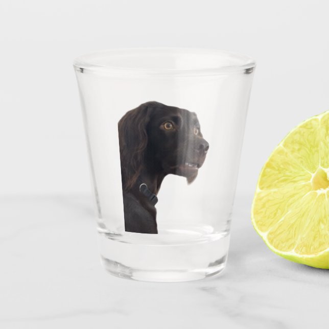 Shot Glass Confused Dog Meme (Front)