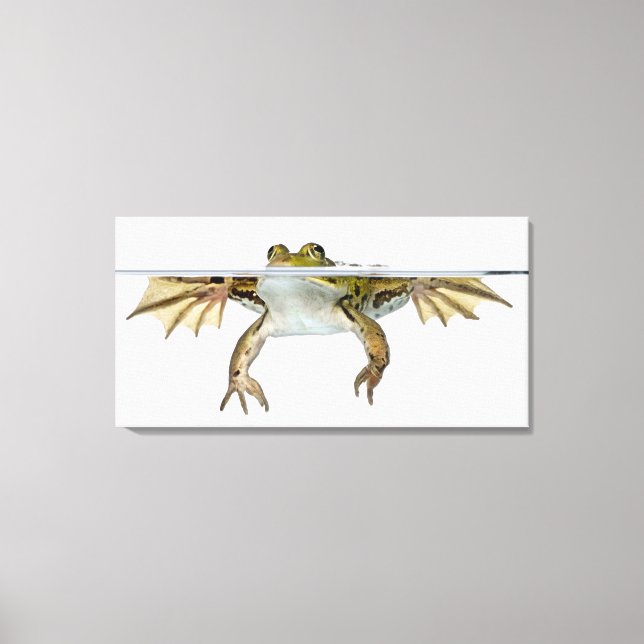 Shot of a Edible frog surfacing in front of a Canvas Print (Front)