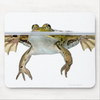 Shot of a Edible frog surfacing in front of a Mouse Pad