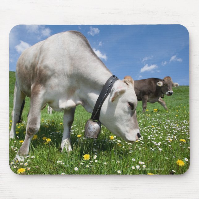 Shots were made by using a wide angle lens. mouse pad (Front)