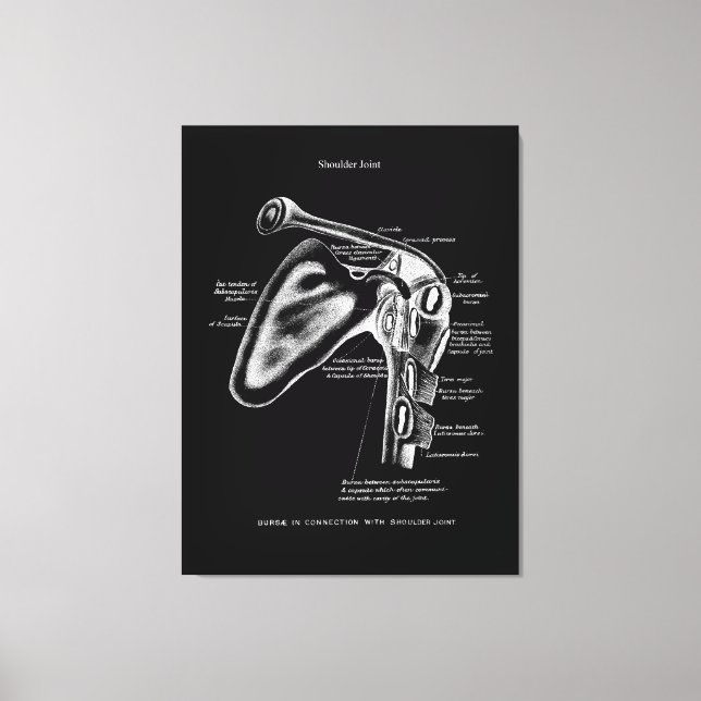 Shoulder Joint Anatomy Medical Wall Decor (Front)