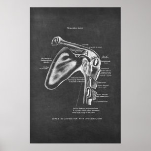 Shoulder Joint Anatomy Orthopedic Wall Decor