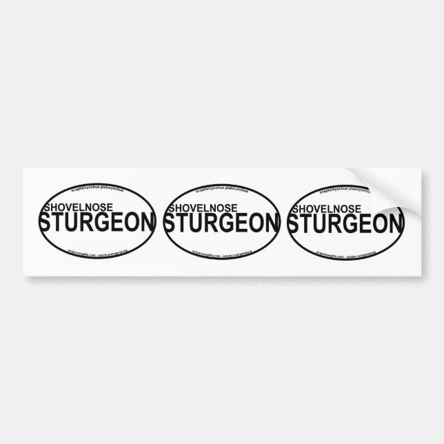 Shovelnose Sturgeon Euro Stickers (Front)