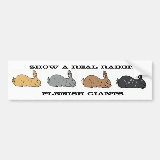 Show A Real Rabbit Flemish Giant Bumper Sticker (Front)