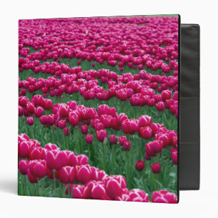 Show garden of spring-flowering tulip bulbs in binder