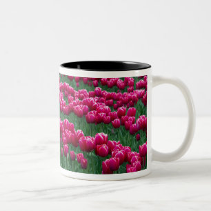 Show garden of spring-flowering tulip bulbs in Two-Tone coffee mug