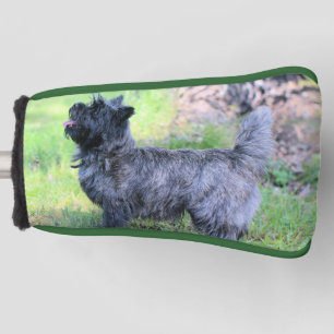 show girl golf head cover