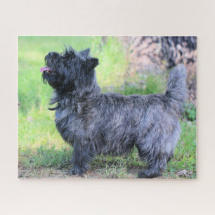 Show girl jigsaw puzzle