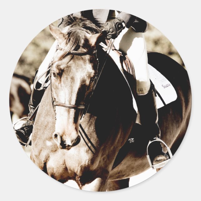 Show Horse Classic Round Sticker (Front)