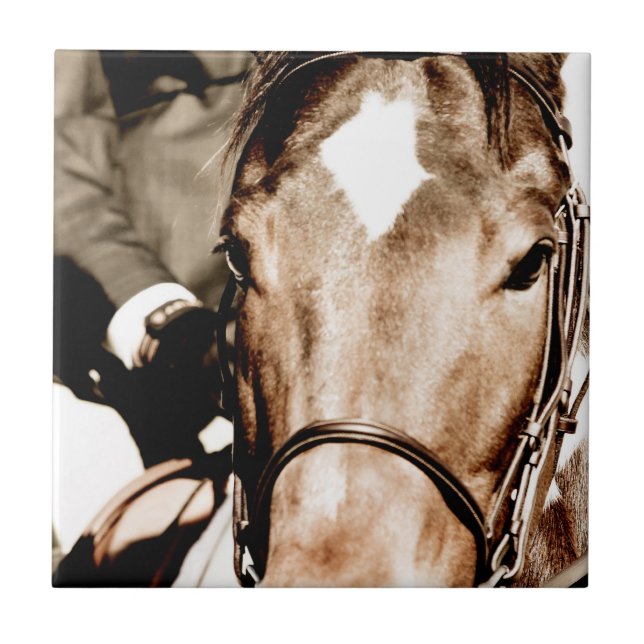 Show Horse Tile (Front)