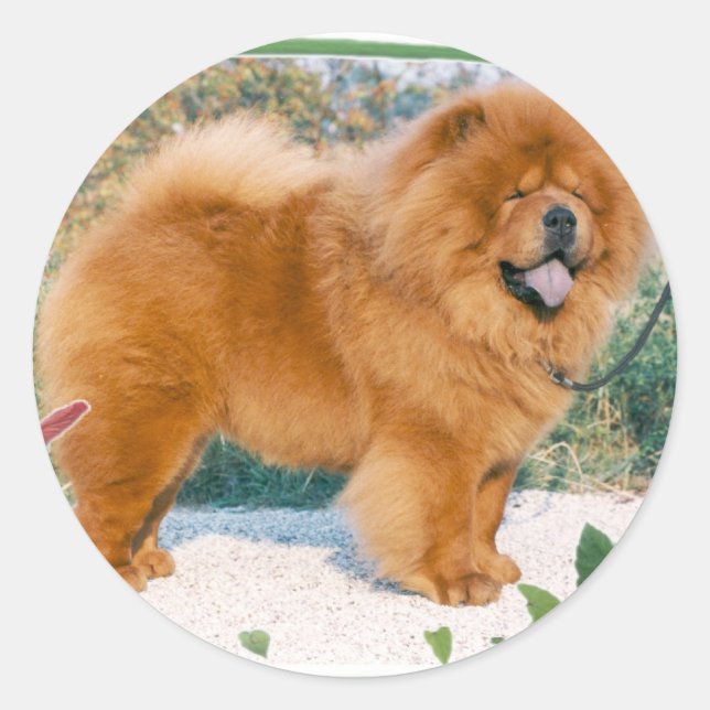 show-how classic round sticker (Front)