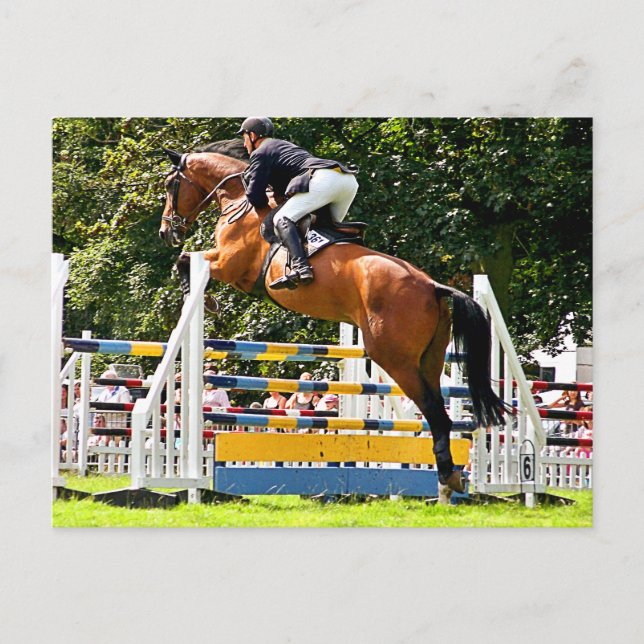 SHOW JUMPING POSTCARD (Front)