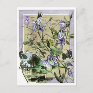 Show Me Thy Way Postcard