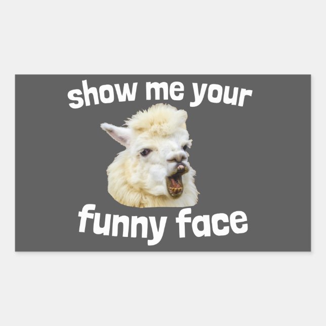Show me your funny face smiling Alpaca Lama Sticker (Front)