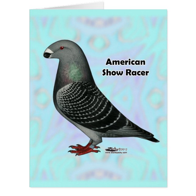 Show Racer ASR (Front)